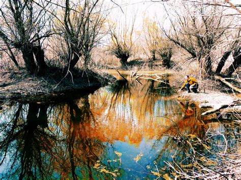 Wallpaper : trees, colors, reflections, pond 4608x3456 - - 929909 - HD ...