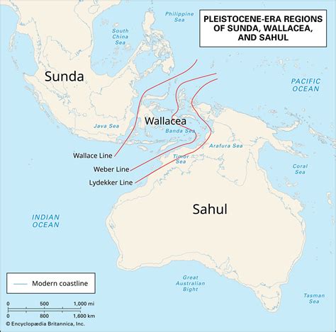 Sahul | Description & Facts | Britannica