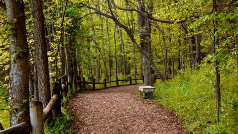 Radnor Lake State Park Pictures: View Photos & Images of Radnor Lake ...