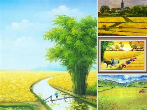 101 mẫu tranh phong cảnh đồng lúa đẹp nhất, chất lượng cao, tải miễn phí