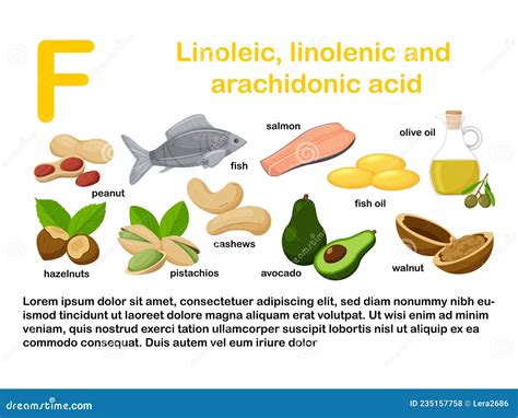 Rectangular Poster with Food Products Containing Vitamin F. Linolenic ...