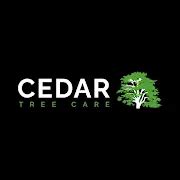 Cedar Tree Care Ltd | Tree Surgeon | NORTON MANDEVILLE | Checkatrade