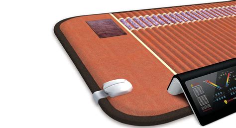 Bio Mat — Acupuncture & Wellness of Cordova