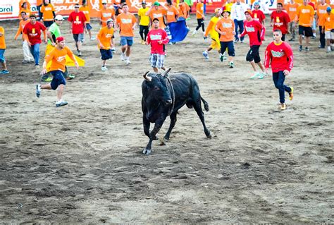 With dog fights banned, animal rights activists shift focus to bullfights and animal ...