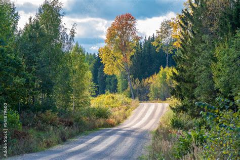 Autumn road forest trees landscape . Stock Photo | Adobe Stock