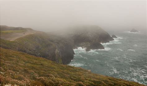 How Does Coastal Fog Form? - WorldAtlas