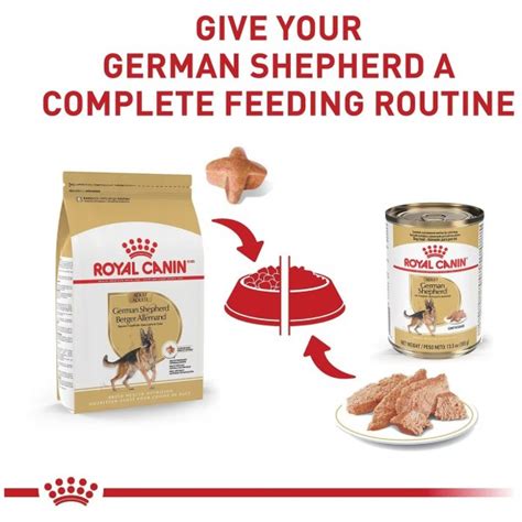 Royal Canin Breed Health Nutrition German Shepherd Adult Dry Dog Food | 1Family 1Health Pharmacy