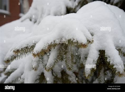 The aftermath of a heavy snow storm in Montreal, Quebec, Canada Stock ...