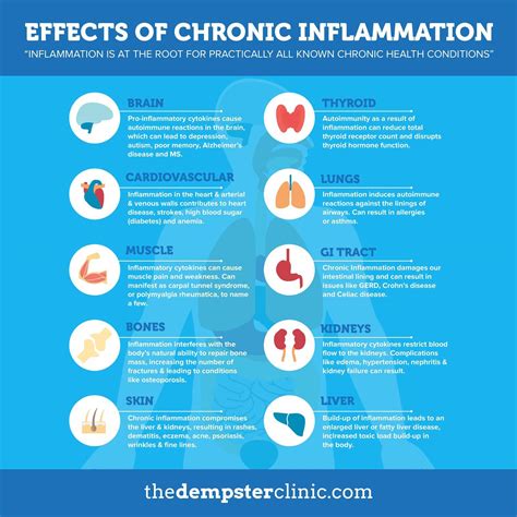 411542_Effects of Chronic Inflammation_2_080819 - The Dempster Clinic