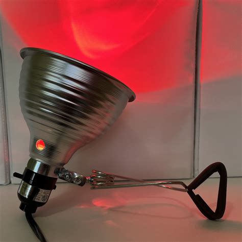 Small Animal Heat Lamp, 75 Watt Infrared Bulb Included ⋆