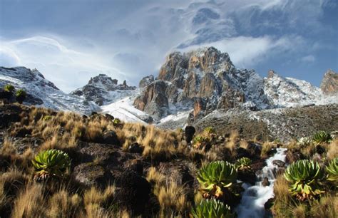 Mount Kenya Day Trip | Climbing Mount Kenya | Flash McTours