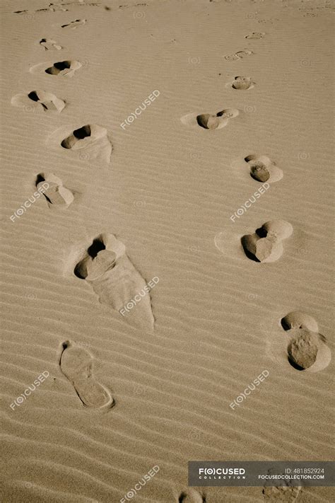 Footprints on sand beach — travel, colour - Stock Photo | #481852924