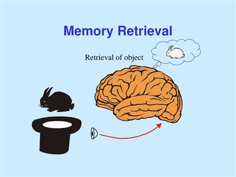 PPT - Visual Working Memory PowerPoint Presentation, free download - ID ...