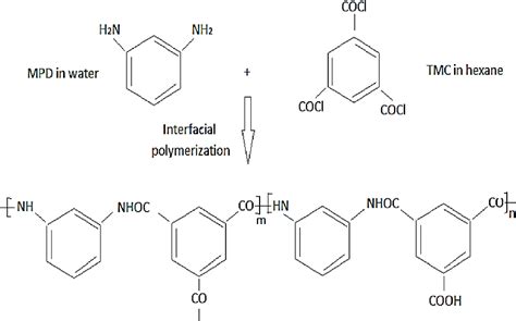 Figure 1 from A Mini-Review on Thin-Film Composite Hollow Fiber ...