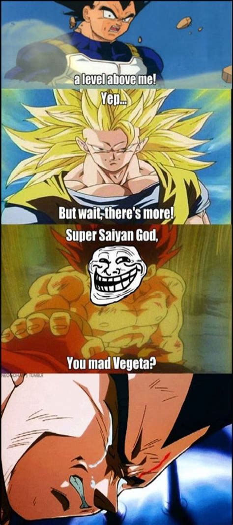 25 Vegeta Memes We Laughed Way Too Hard At