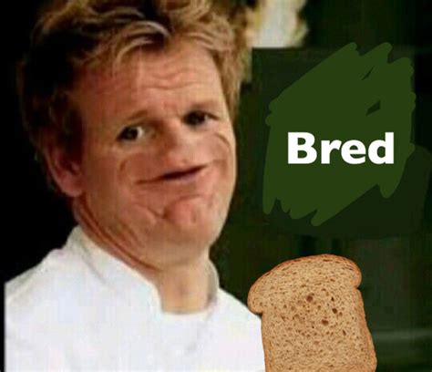 It’s my own Gordon Ramsey meme and I love it | Gordon ramsay funny ...