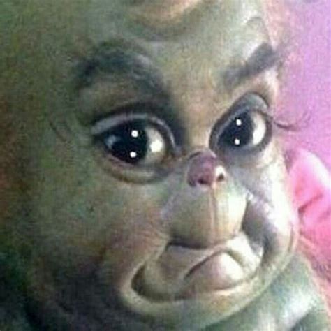 Grinch Baby, The Grinch, Funny Profile Pictures, Funny Reaction Pictures, Best Funny Pictures ...