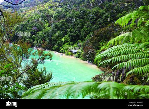 Abel Tasman National Park, South Island, New Zealand Stock Photo - Alamy