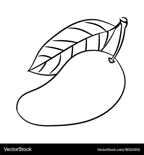 Line drawing of mango -simple Royalty Free Vector Image