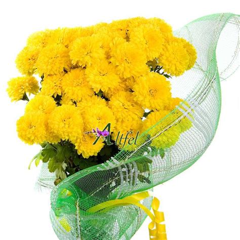 Buchet de 49 crizanteme galbene - Buchete crizanteme - Buchete flori