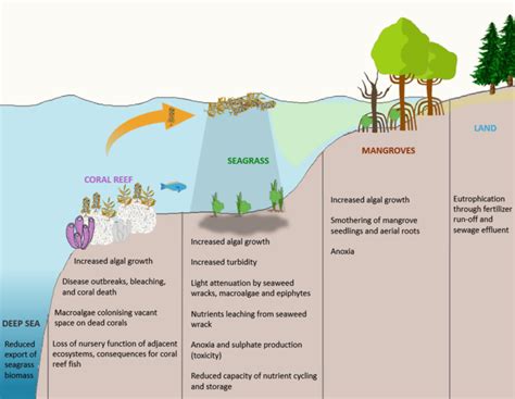 Causes of Eutrophication and Algal bloom | UPSC – IAS – Digitally learn