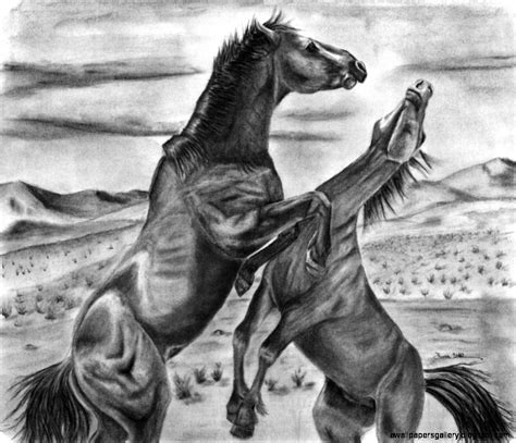 Wild Horses Drawing | Wallpapers Gallery