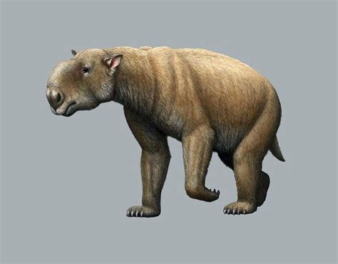 Prehistoric Giant Wombat, Artwork Poster by Mauricio Anton | Prehistoric animals, Prehistoric ...