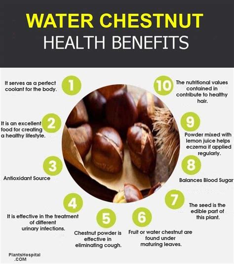 Water Chestnut: 15 Best Health Benefits, Nutritional Values & Uses