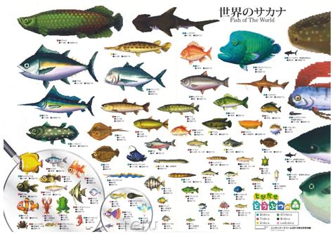 Fish - Animal Crossing Wiki