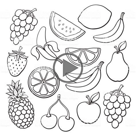 Vector illustration. Set of farm and tropical fruits and berries.... in 2020 | Fruits drawing ...