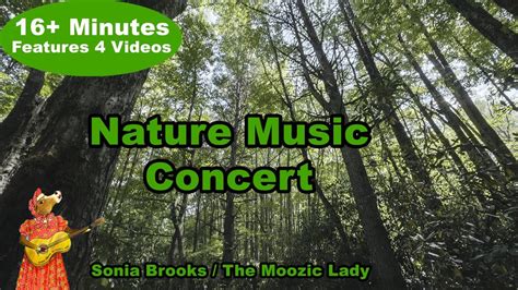 Nature Music Concert - YouTube