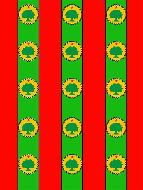 "Oromo Flag Case" T-shirt for Sale by Gadaa | Redbubble | oromo graphic ...