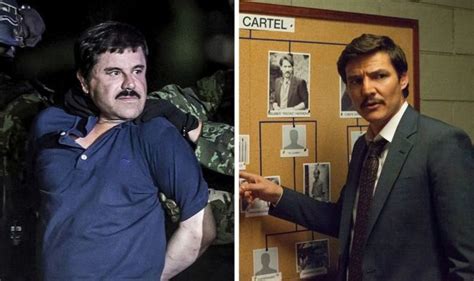 Narcos vs real-life: Have any of the cast met the real drug lords? | TV & Radio | Showbiz & TV ...