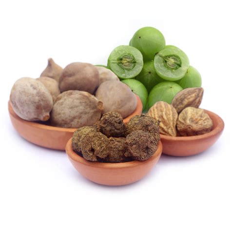 Triphala Three fruits - Amalaki, Bibhitaki and Haritaki (myrobalan plums) - Healthyliving from ...