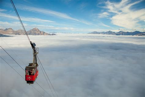 7 things to do at the Jasper SkyTram | Tourism Jasper