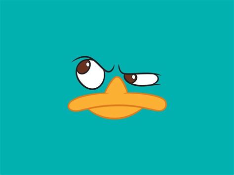 Baby Perry The Platypus Wallpapers - Wallpaper Cave