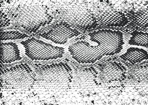 Black and White Snake Print Wallpaper | Wallsauce UK