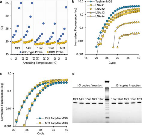 Optimization of PANDAA probe design a 13–17-nt TaqMan-MGB probes for ...