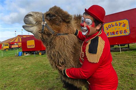 Circus hits back at criticism over use of animals in performances | Shropshire Star