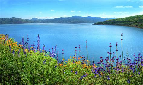 Diamond Valley Lake Panorama - Superbloom 2019 Photograph by Lynn Bauer - Fine Art America