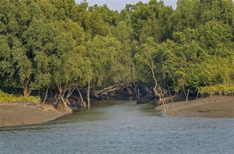 Picturing the Sundarbans, a Region in Crisis - Waterkeeper