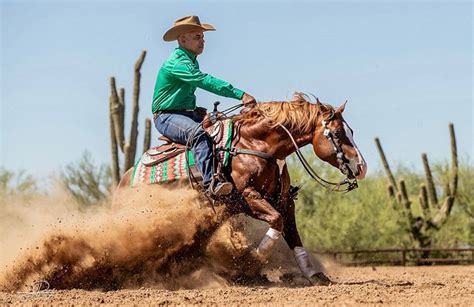 Reining: Matt Mills wird der nächste NRHA Million Dollar Rider - wittelsbuerger.com: Europas ...