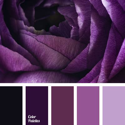 Dark Maroon Purple Color