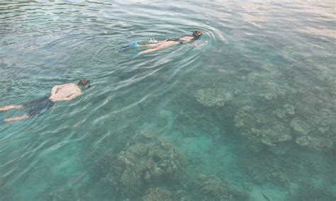 Experience Snorkeling in Fiji's Blue Lagoon at Turtle Island Fiji