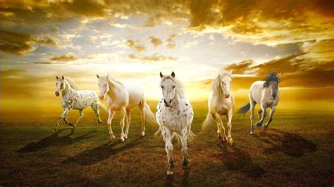 7horse Running Wallpapers - Wallpaper Cave