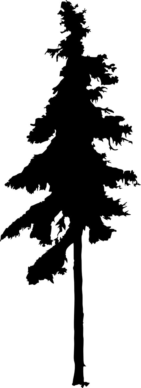 Simple Pine Tree Drawing at GetDrawings | Free download