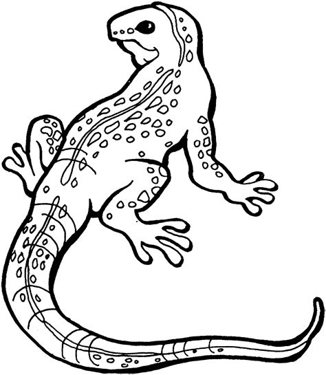 Printable Lizard - Printable Word Searches