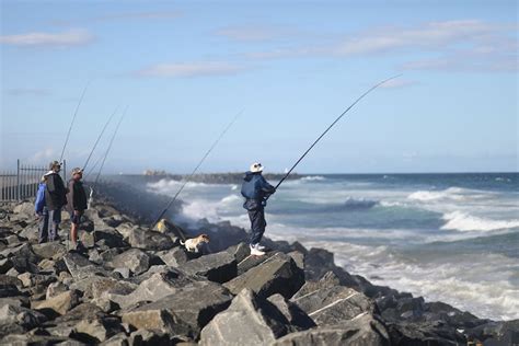 Anglers welcome reopening of harbour area for fishing