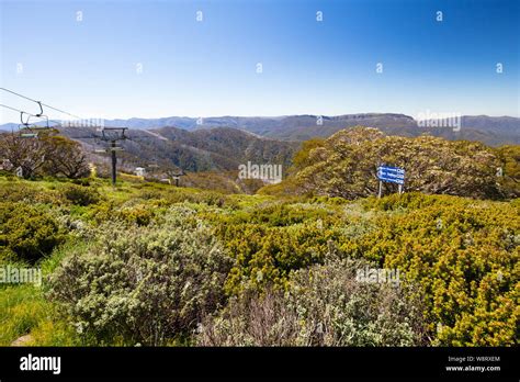 Mount Buller Walking Trails in Summer Stock Photo - Alamy