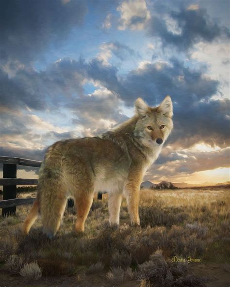 Desert Coyote Digital Oil Painting - Coyote Wildlife Colorful Wall Art | Wildlife paintings ...